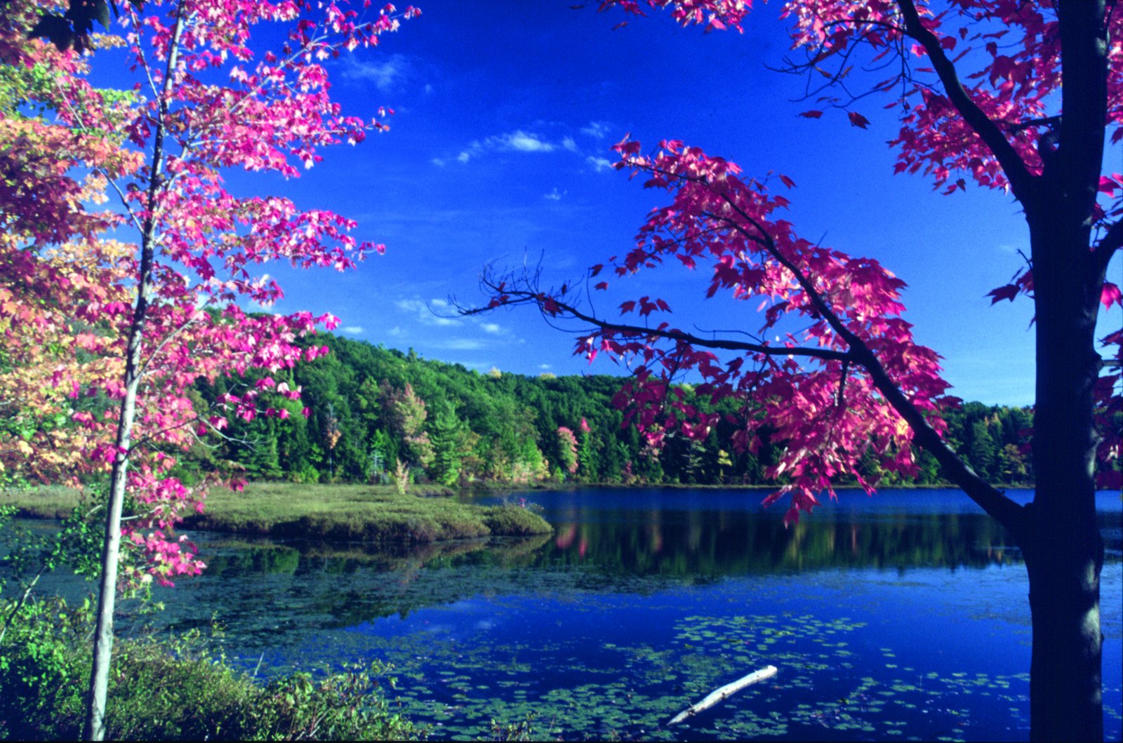 Early autumn at Moss Lake in Houghton, NY